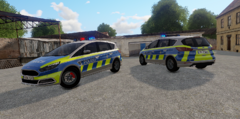 2019 Ford S-Max Polizei